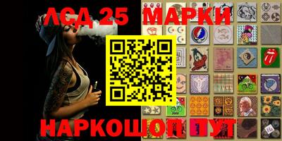 прущие грибы Будённовск