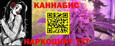 прущие грибы Будённовск