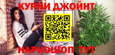 прущие грибы Будённовск