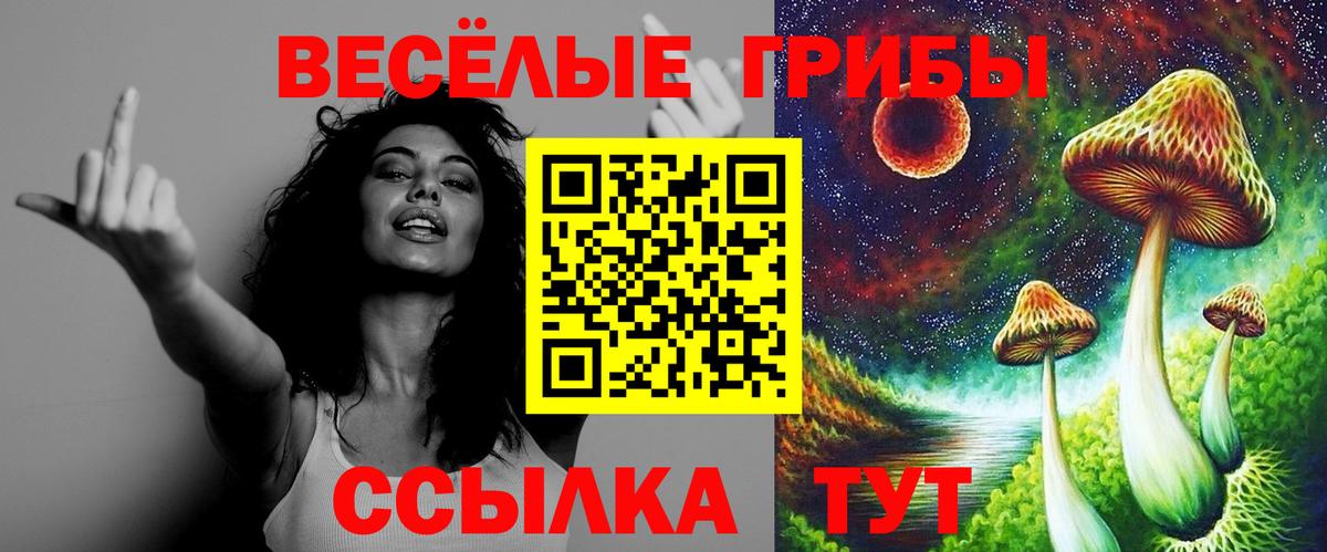 Галлюциногенные грибы мицелий Псков