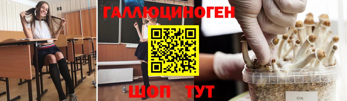 Псков  Псилоцибиновые грибы MAGIC MUSHROOMS  Вход с VPN 