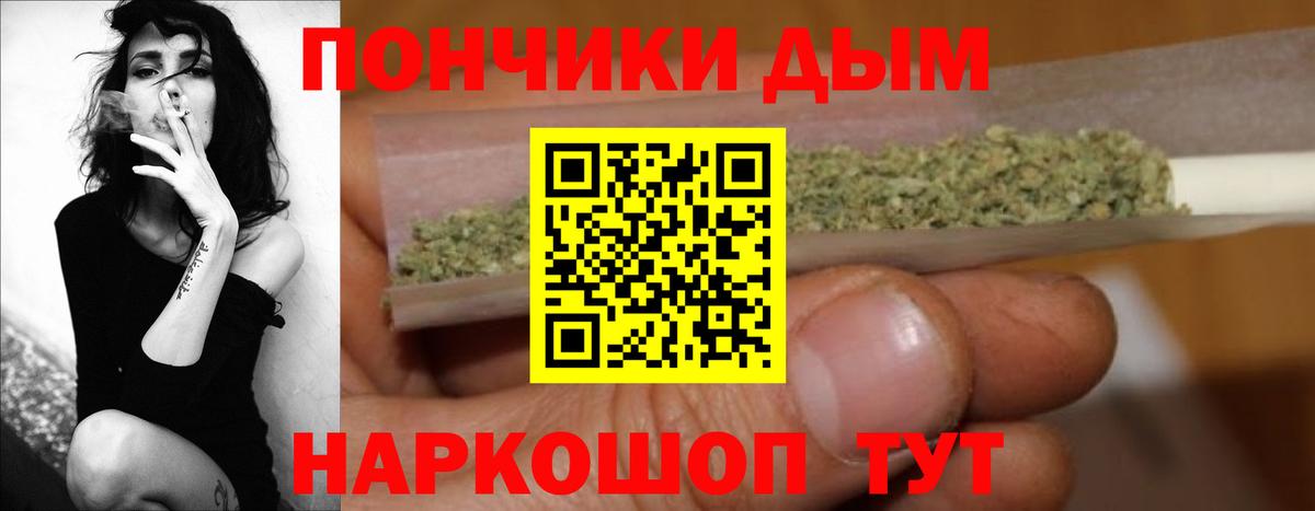 Конопля сатива Псков